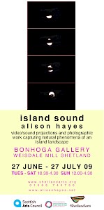 Island Sound flyer